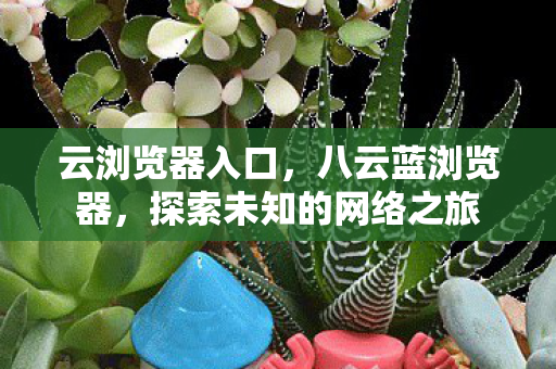 云浏览器入口，八云蓝浏览器，探索未知的网络之旅