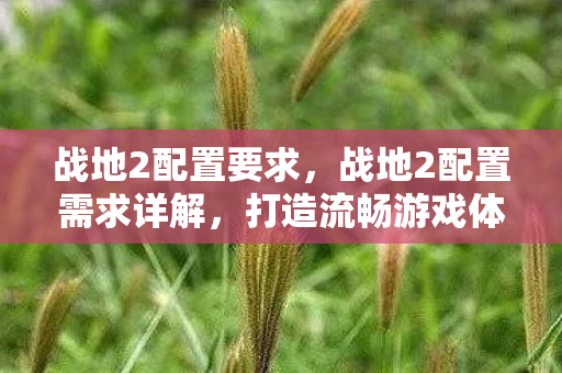 战地2配置要求，战地2配置需求详解，打造流畅游戏体验