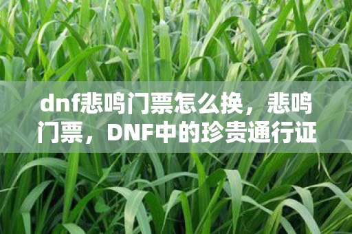 dnf悲鸣门票怎么换,悲鸣门票,DNF中的珍贵通行证 dnf悲鸣门票怎么换,悲鸣门票,DNF中的珍贵通行证