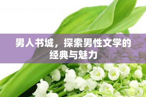 男人书城，探索男性文学的经典与魅力