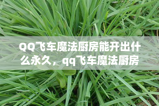 QQ飞车魔法厨房能开出什么永久，qq飞车魔法厨房，探索飞车世界的奇幻料理