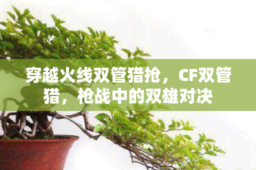 穿越火线双管猎抢，CF双管猎，枪战中的双雄对决