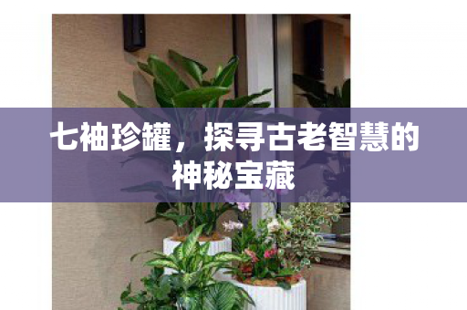 七袖珍罐，探寻古老智慧的神秘宝藏