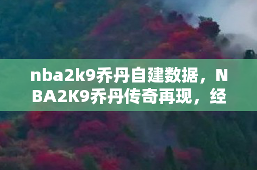 nba2k9乔丹自建数据，NBA2K9乔丹传奇再现，经典补丁重塑篮球传奇