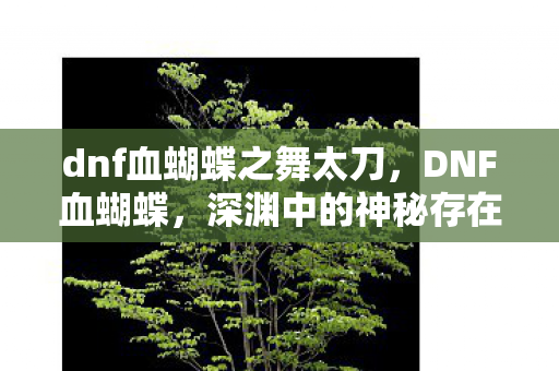 dnf血蝴蝶之舞太刀，DNF血蝴蝶，深渊中的神秘存在