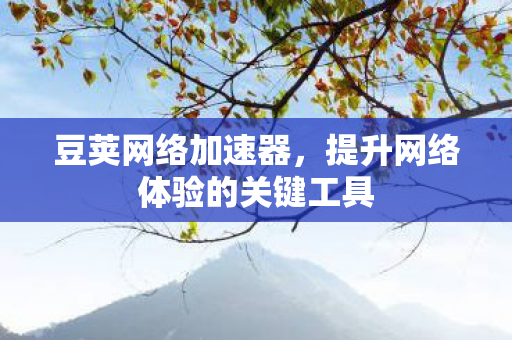 豆荚网络加速器，提升网络体验的关键工具
