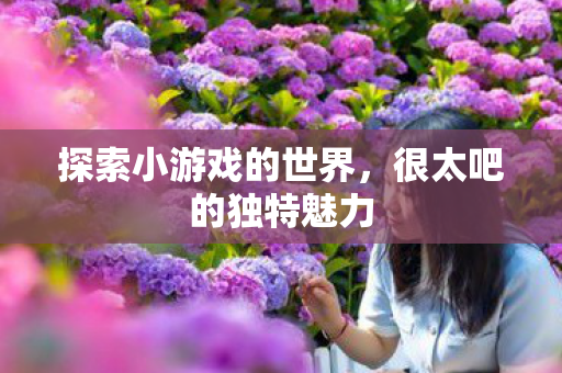 探索小游戏的世界,很太吧的独特魅力 探索小游戏的世界,很太吧的独特魅力