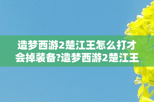 造梦西游2楚江王怎么打才会掉装备?造梦西游2楚江王打法攻略