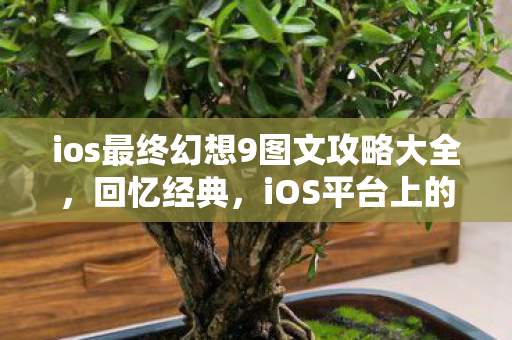 ios最终幻想9图文攻略大全，回忆经典，iOS平台上的最终幻想5体验