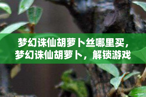 梦幻诛仙胡萝卜丝哪里买，梦幻诛仙胡萝卜，解锁游戏中的隐藏宝藏