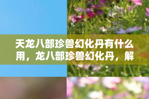 天龙八部珍兽幻化丹有什么用，龙八部珍兽幻化丹，解锁珍兽新形态，打造个性宠物