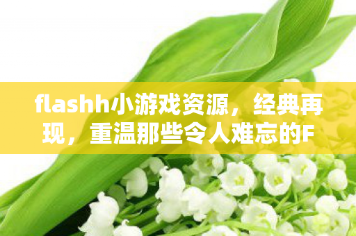 flashh小游戏资源，经典再现，重温那些令人难忘的Flash H小游戏
