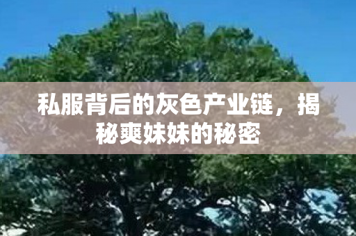 私服背后的灰色产业链，揭秘爽妹妹的秘密