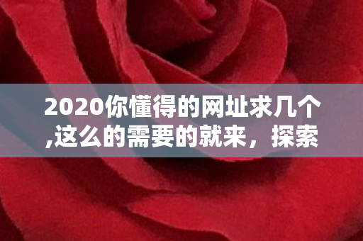 2020你懂得的网址求几个,这么的需要的就来,探索游戏世界的无限可能,深度解析游戏私服现象 2020你懂得的网址求几个,这么的需要的就来,探索游戏世界的无限可能,深度解析游戏私服现象