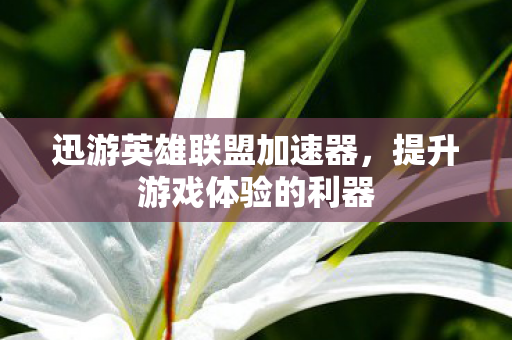 迅游英雄联盟加速器，提升游戏体验的利器