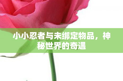 小小忍者与未绑定物品，神秘世界的奇遇