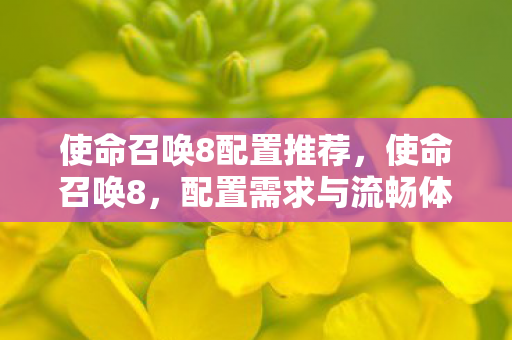 使命召唤8配置推荐，使命召唤8，配置需求与流畅体验