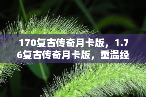 170复古传奇月卡版，1.76复古传奇月卡版，重温经典，月卡新体验