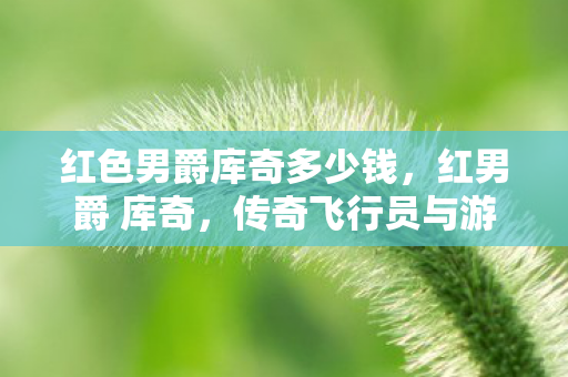 红色男爵库奇多少钱，红男爵 库奇，传奇飞行员与游戏界的传奇