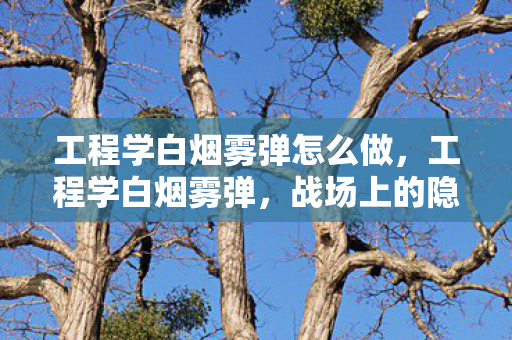 工程学白烟雾弹怎么做，工程学白烟雾弹，战场上的隐形斗篷