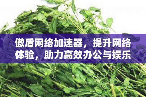 傲盾网络加速器，提升网络体验，助力高效办公与娱乐