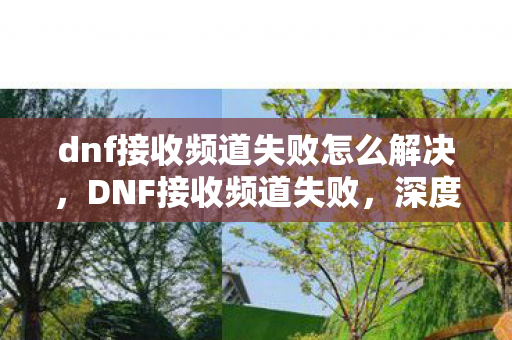 dnf接收频道失败怎么解决，DNF接收频道失败，深度解析与解决方案