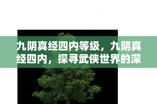 九阴真经四内等级,九阴真经四内,探寻武侠世界的深层奥秘 九阴真经四内等级,九阴真经四内,探寻武侠世界的深层奥秘