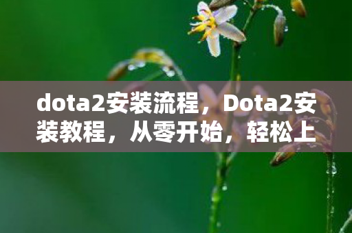 dota2安装流程，Dota2安装教程，从零开始，轻松上手
