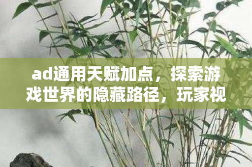 ad通用天赋加点，探索游戏世界的隐藏路径，玩家视角下的加点图解析