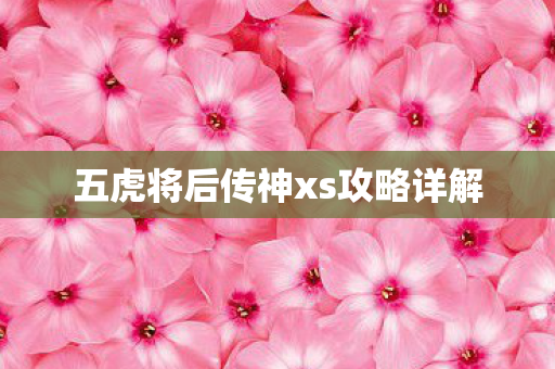 五虎将后传神xs攻略详解
