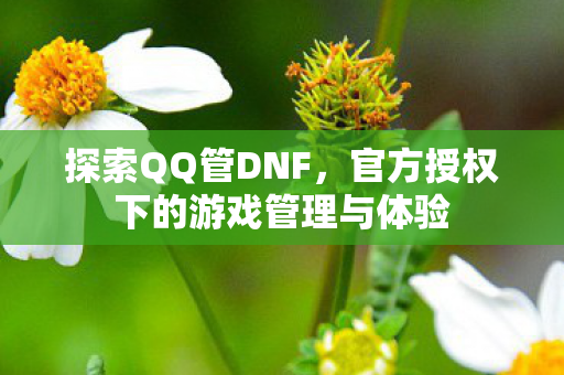 探索QQ管DNF，官方授权下的游戏管理与体验