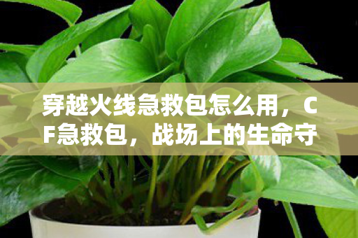 穿越火线急救包怎么用,CF急救包,战场上的生命守护者 穿越火线急救包怎么用,CF急救包,战场上的生命守护者