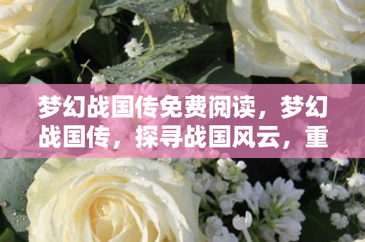 梦幻战国传免费阅读，梦幻战国传，探寻战国风云，重塑历史传奇