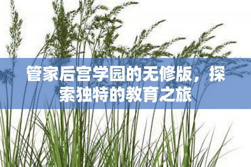 管家后宫学园的无修版，探索独特的教育之旅