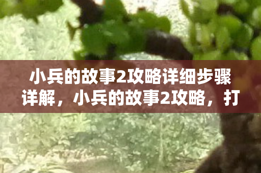 小兵的故事2攻略详细步骤详解，小兵的故事2攻略，打造最强小兵的全面指南