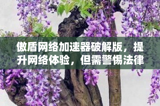 傲盾网络加速器破解版，提升网络体验，但需警惕法律风险