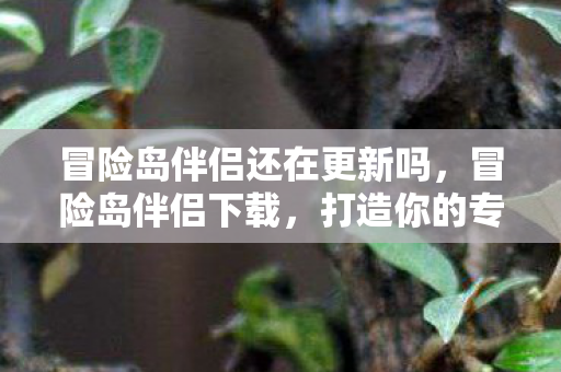 冒险岛伴侣还在更新吗，冒险岛伴侣下载，打造你的专属游戏助手