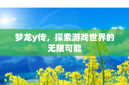 梦龙y传，探索游戏世界的无限可能