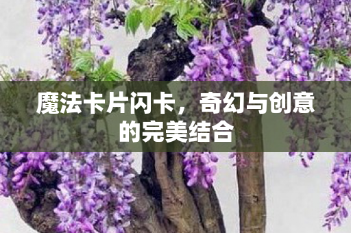 魔法卡片闪卡，奇幻与创意的完美结合