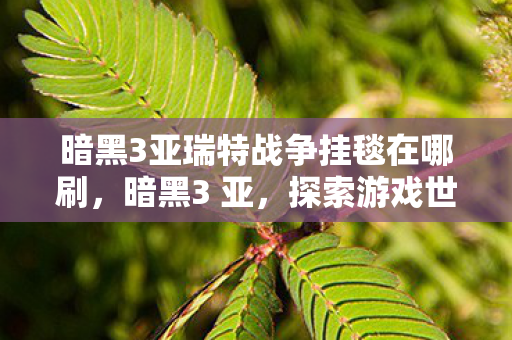 暗黑3亚瑞特战争挂毯在哪刷，暗黑3 亚，探索游戏世界的深度与广度