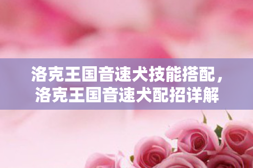 洛克王国音速犬技能搭配，洛克王国音速犬配招详解