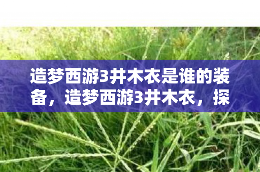 造梦西游3井木衣是谁的装备,造梦西游3井木衣,探寻古老神话的奇幻之旅 造梦西游3井木衣是谁的装备,造梦西游3井木衣,探寻古老神话的奇幻之旅