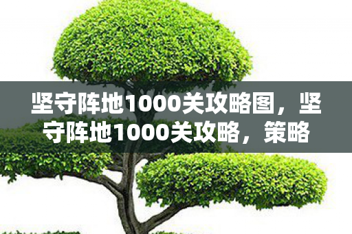 坚守阵地1000关攻略图,坚守阵地1000关攻略,策略与技巧的全面解析 坚守阵地1000关攻略图,坚守阵地1000关攻略,策略与技巧的全面解析