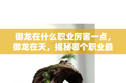 御龙在什么职业厉害一点，御龙在天，揭秘哪个职业最厉害