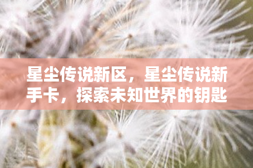 星尘传说新区，星尘传说新手卡，探索未知世界的钥匙