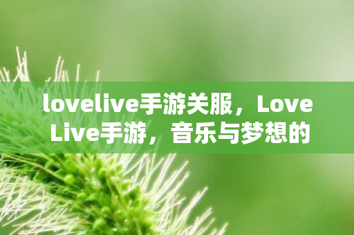lovelive手游关服，Love Live手游，音乐与梦想的交织之旅