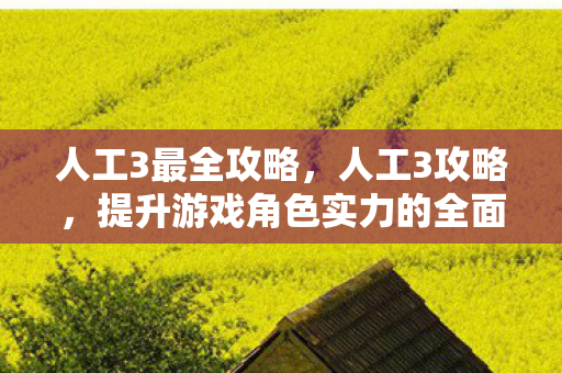人工3最全攻略，人工3攻略，提升游戏角色实力的全面指南