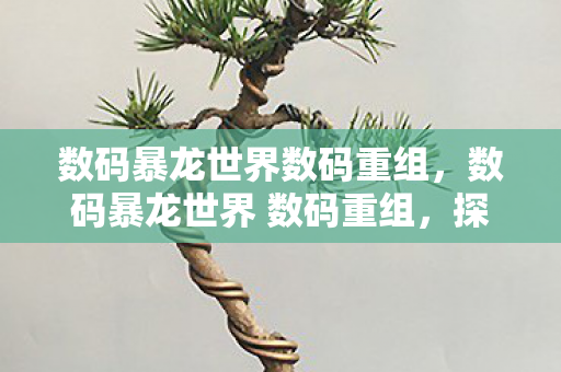 数码暴龙世界数码重组，数码暴龙世界 数码重组，探索虚拟世界的无限可能