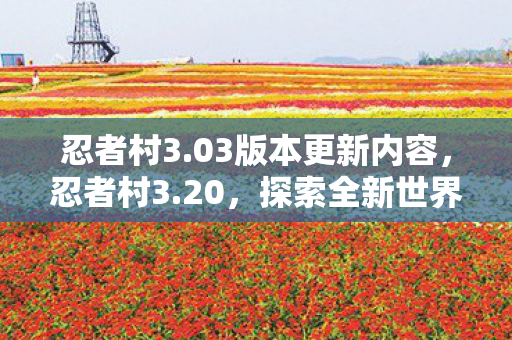 忍者村3.03版本更新内容，忍者村3.20，探索全新世界的冒险之旅