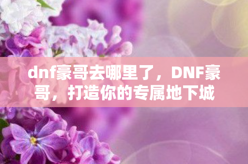 dnf豪哥去哪里了，DNF豪哥，打造你的专属地下城